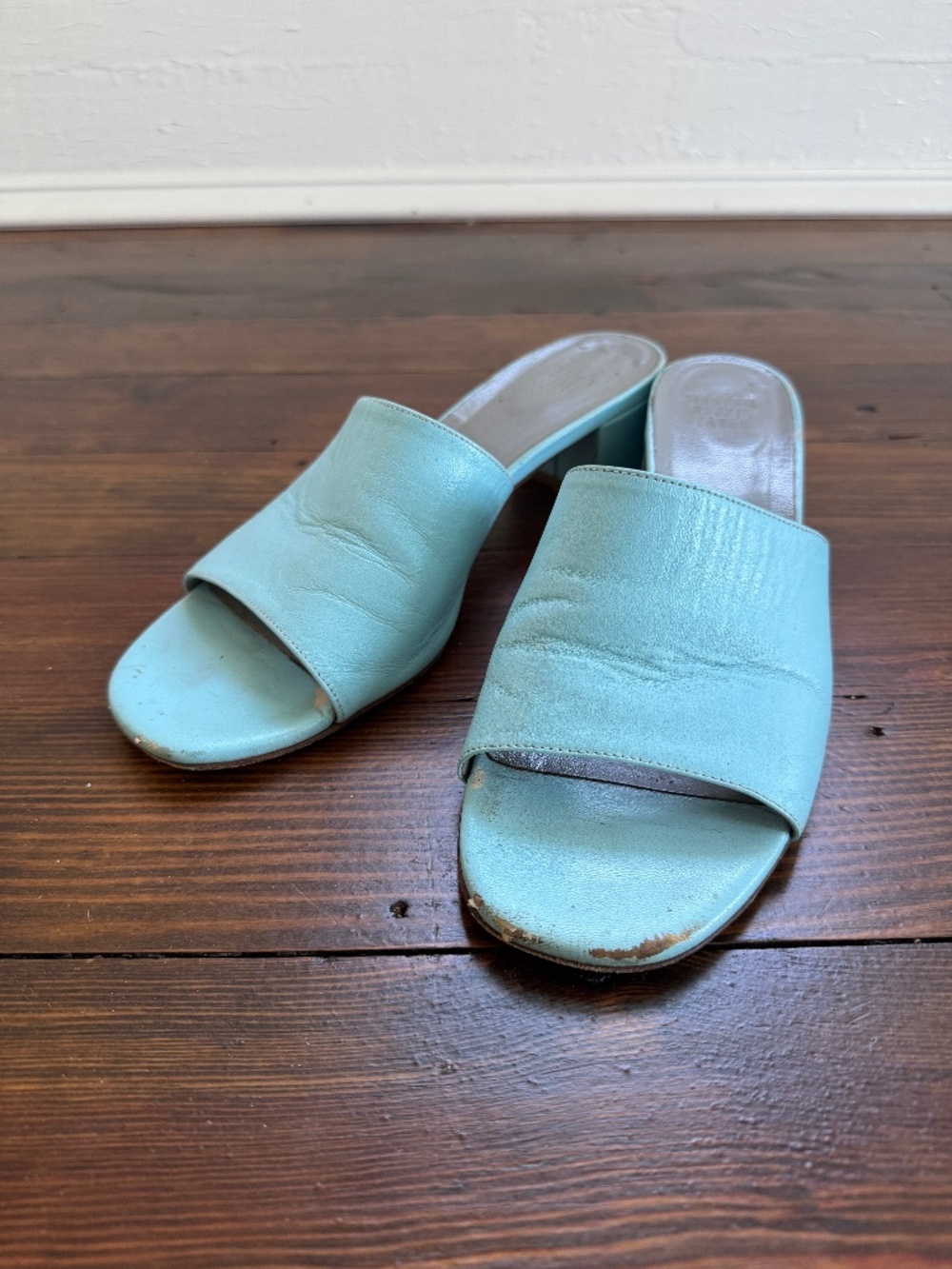 Maryam Nassir Zadeh Baby Blue Leather Slides
